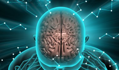 Experts Reveals Deep Secrets of Navratri 2025: A Celebration of Divine Energy, Balance, and Renewal