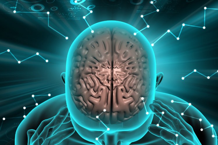 Inner Peace: The Heartbeat of World Meditation Day